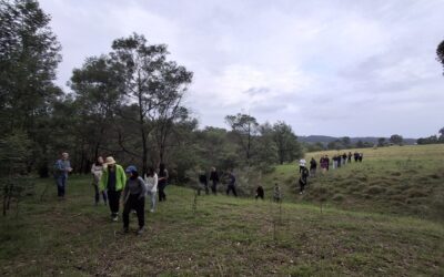 Sustainable Landscapes students visit EcoGipps