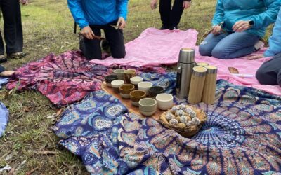 Building connections with nature at EcoGipps